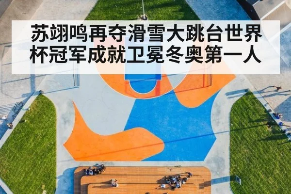 苏翊鸣再夺滑雪大跳台世界杯冠军成就卫冕冬奥第一人